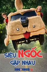 Siêu Ngốc Gặp Nhau